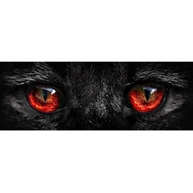 Nova Puzzle 1000 Parçalık Keskin Bakışlar Panorama Puzzle