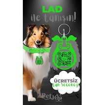 Petjoo 23.Lad Gri-Yeşil Qr'lı Köpek Künyesi