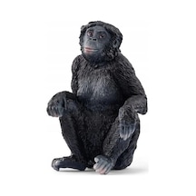 Mey İthalat Bonobo