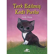 Terk Edilmiş Kedi Puslu Pegasus Yayınları  -  Pegasus Yayınları