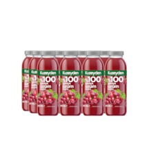 Kuzeyden %100 Sıkma Üzüm Suyu 12x250ml