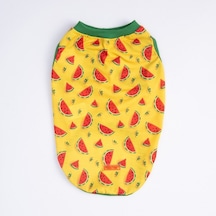 Pawstar Watermelon T-shirt Büyük Irk