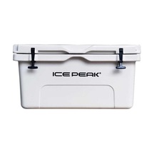 Icepeak Aden Buzluk 65 Litre