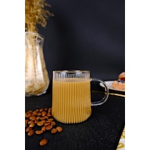 Digithome Borosilikat Cam Kupa Isıya Dayanıklı Bardak 300 Ml 04174 C1-1-154