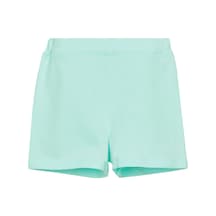 Mint Yeşili