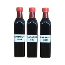 Karadut Özü 1 e 6 Oranında Konsantre 740 G 3740