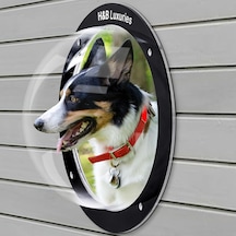Dayanıklı Akrilik Kubbe Köpek Penceresi - Çit İçin Dışarıyı Görmeyi Sağlar Orijinal: Durable Acrylic Dome Dog Window For Fencing Allows Curious Pets
