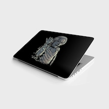 Laptop Sticker Bilgisayar Notebook Pc Kaplama Etiketi Albert Einstein