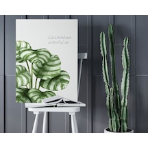 Bk Home Green Plant Tasarımlı Kanvas Tablo 50X70Cm-1 (551085146)