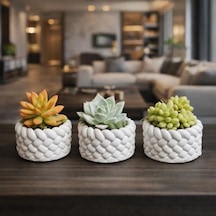 3 Lü Mini Saksı Seti 5 Cm El Yapımı Dekoratif Beton Saksı Küçük Sukulent Saksısı, Masa & Raf Dekoru, Modern Minimal Tasarım Bitki Dahil Değildir