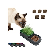 Topraksız Kedi Çimi Kabı Mavi 5 Paket Çim Tohumlu Hidroponik Çim Yetiştirme Seti Kediler İçin Doğal Çim Yetiştirme Kutusu Evde Kolay Çimlendirme Ve Sindirim Desteği
