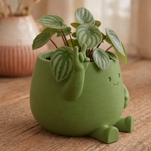 Bezos 3d Baskı Smiley Face Planter - Gülümseyen Karakterli Saksı-yeşil Nıda