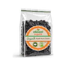 Organik Siyah Kuru Üzüm-176 250 G