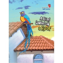 A Bird Landed On A Roof-Self Control - Neriman Karatekin - Edam