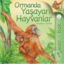 Çevir Bak - Ormanda Yaşayan Hayvanlar Jinny Johnson