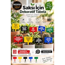 Saksı - Bitki Aksesuarı Dekor Tabela