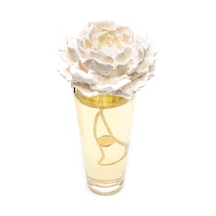 Missi Konik Uzun Cam Şişe Seramik Taşlı White Jasmine Oda Kokusu 400 ML