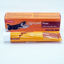 Candioli Vigorpet Pasta Kedi Tüy Atıcı 50 G