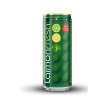 Laimon Fresh Nane Limon 250 ml %100 Doğal Bileşenli İçecek