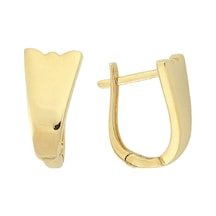 Altınbaş Altın Küpe N11.5979