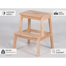 Standart Model