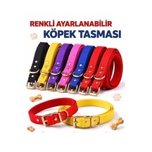 Çok Renkli