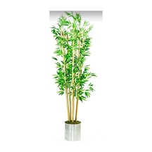 Rüzgar Çiçekcilik 180 Cm Metal Saksıda Bambu Ağacı Yeşil