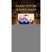 Harry Potter Koleksiyon Figür Seti 2'li - Sürpriz Temalı Oyuncak