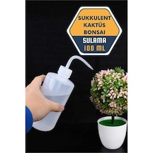 Sukkulent Kaktüs Bonsai Sulama Şişesi Renkli