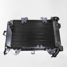 Bajaj Pulsar Ns 200 Radyatör  Kuralkan