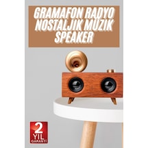 Gramafon Nostaljik Radyo Yüksek Ses Kalitesi Usb Tf Kart Aux 63568641
