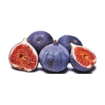 Tüplü Fidan Bursa Siyahı Incir Fidanı