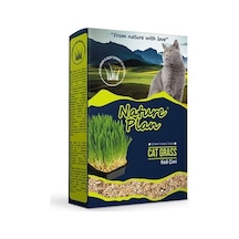 Nature Plan Kedi Çimi