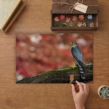 Dalın Üstünde Boz Doğan Kuşu Tasarımı 240 Parça Ahşap Puzzle Ahşap Kutuda Mpy40448