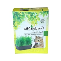 Garden Mix Kutu Kedi Çimi, Kahverengi, 1
