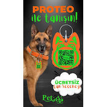Petjoo 24.Proteo Yeşil-Turuncu Qr'lı Köpek Künyesi