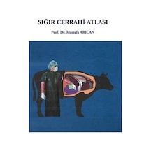 Sığır Cerrahi Atlası / Mustafa Arıcan