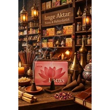 Darshan Lotus Konik Tütsü 10 Adet Çok Renkli