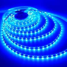 Bolled+cata 12 V İç Mekan Mavi Şerit Led 5mt