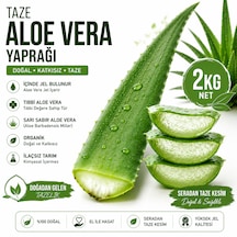 Taze Aloe Vera Yaprağı 2 Kg - Aloe Vera Jel İçerir Sarı Sabır