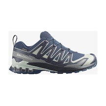 Salomon Xa Pro 3d V9 Gore-tex Erkek Outdoor Ayakkabı Spellbound L49199200-24750 Renkli