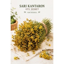 Yörem Afyon Anadolu Nun Altın İksiri Hakiki Sarı Kantaron Otu, St. John S Wort Hypericum Perforatum 1 Demet