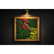 Desenli Doğal Yosun Tablosu 35x35