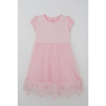 Breeze Kız Çocuk Elbise Vintage Dantel Detaylı Tüllü Çiçek Desenli Elbise 4-9 Yaş, Pembe