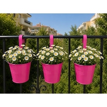 Askılı Balkon Saksı Seti, 3 Adet, Metal, Şeker Pembe 1,5lt 001
