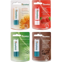 Himalaya Yoğun Nemlendirici ve Besleyici Dudak Bakım Kremi Seti 4 x 4.5 G