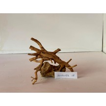 Yati Kökü Dragon Kayasına Yapışık No:28 16x11x13h