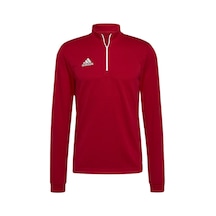 Adidas H57556 Ent22 Tr Top Erkek Sweatshirt 001