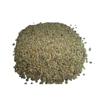 Sanita Ispanak Tohumu 1 KG