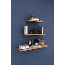Asra Trend Modern Duvar Rafı DRF-02 %100 MDF 3'lü Dekoratif Organizer Kitaplık Petra